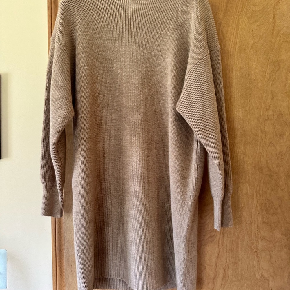 Sweater dress turtle neck
